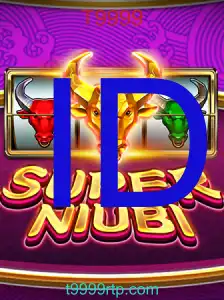 SuperNiubi